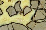 Polished, Heart-Shaped Septarian Dish - Madagascar #174412-2